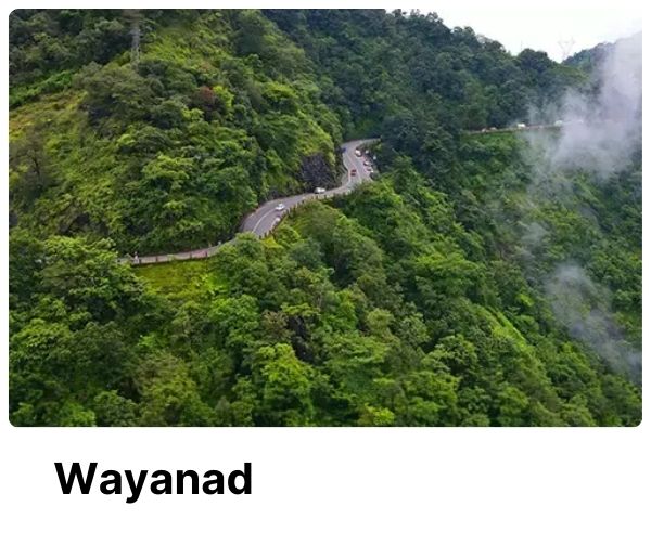 Wayanad